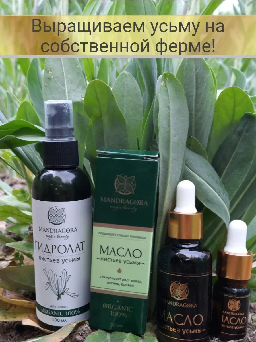 Масло листьев усьмы Mandragora magic beauty 49974656 купить за 816 ₽ в  интернет-магазине Wildberries