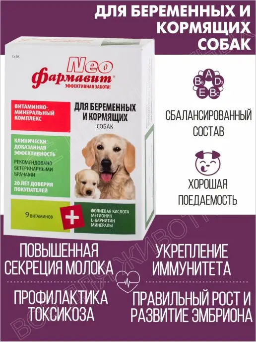 Фармавит NEO Витамины для собак беременных и кормящих фолиевая кислота, вариант, фото 8