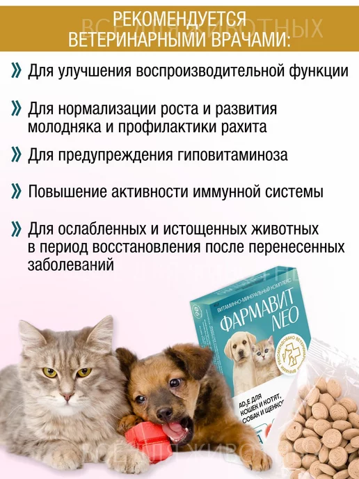 Фармавит NEO Витамины для суставов и шерсти собак, собак и кошек суставов, фото 3
