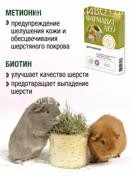 Фармавит NEO Витамины для грызунов для шерсти и иммунитета, вариант, фото 3
