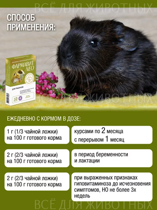 Фармавит NEO Витамины для грызунов для шерсти и иммунитета, вариант, фото 5