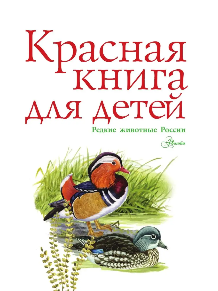 Красная книга для детей Издательство АСТ 50267290 купить за 684 ₽ в  интернет-магазине Wildberries