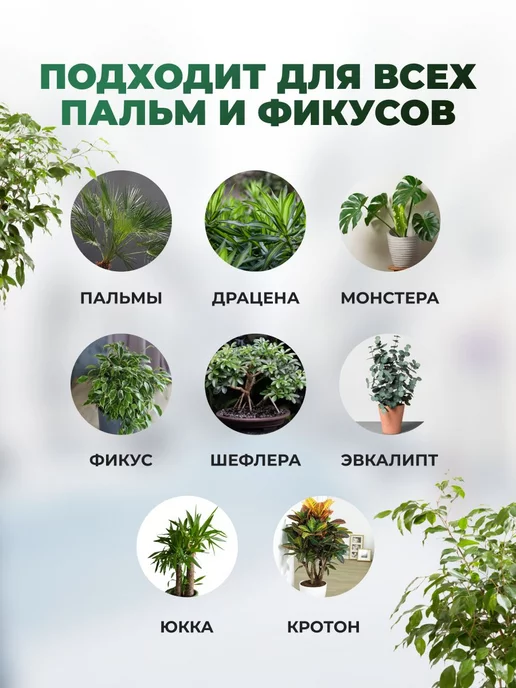 Сила Суздаля Грунт для фикуса и пальм 5 литров, вариант, фото 2