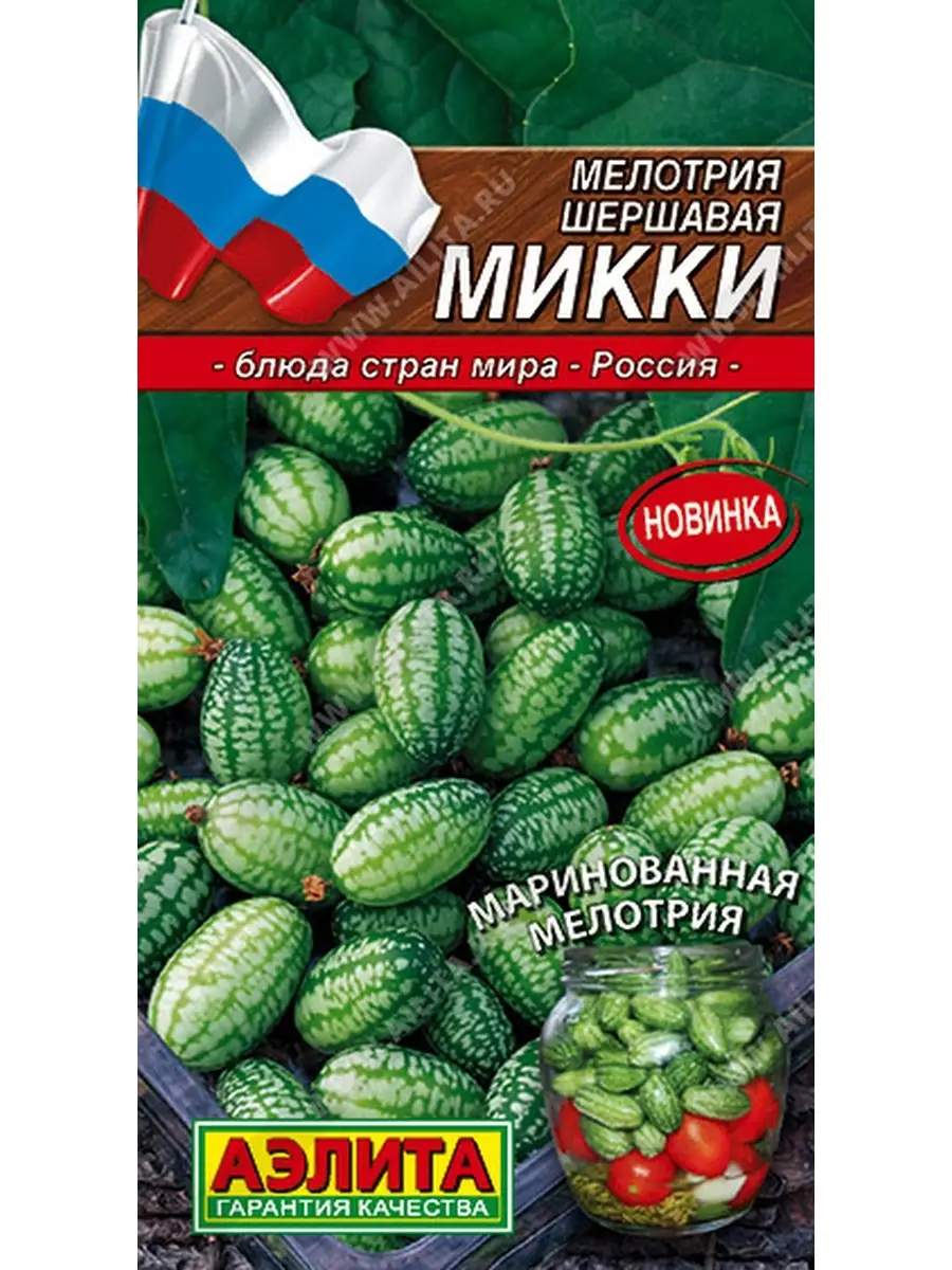 Семена Мелотрия МИККИ (Африканский Огурец) ДАЧА ОНЛАЙН 50297146 купить за  151 ₽ в интернет-магазине Wildberries