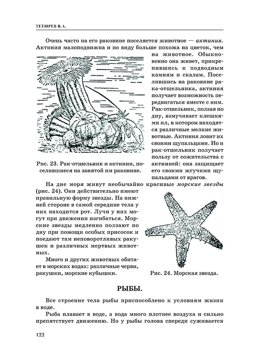 Естествознание. Учебник для 3 и 4 класса [1939-1940] Советские учебники  50387920 купить за 436 ₽ в интернет-магазине Wildberries