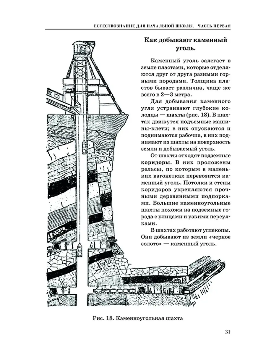 Естествознание. Учебник для 3 и 4 класса [1939-1940] Советские учебники  50387920 купить за 463 ₽ в интернет-магазине Wildberries