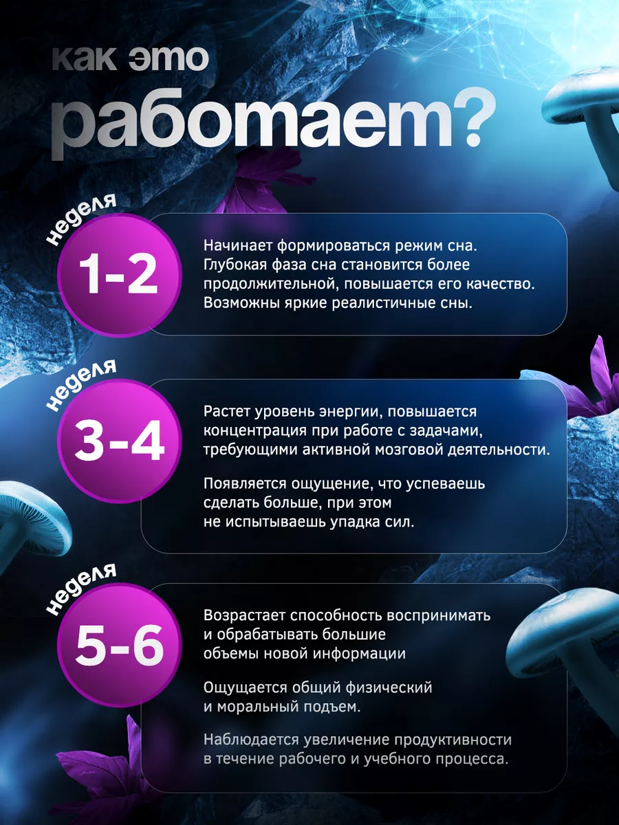 Ежовик гребенчатый в капсулах, ежевик Angel Healthy 50435152 купить за 510  ₽ в интернет-магазине Wildberries