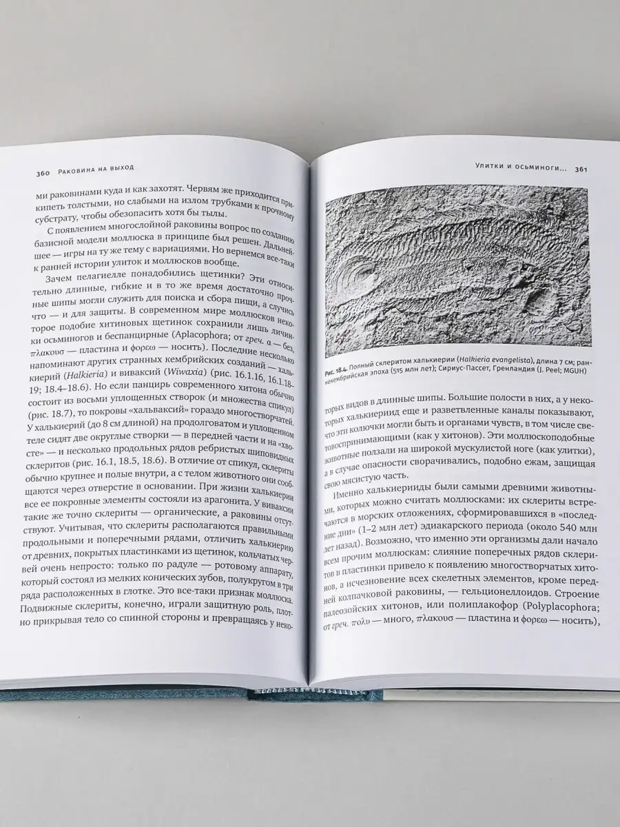 Похождения видов: вампироноги, паукохвос Альпина. Книги 50441852 купить в  интернет-магазине Wildberries