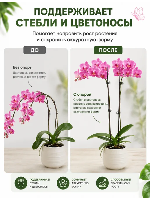 SABURG Опора для растений держатель для орхидей, коричневый, фото 3