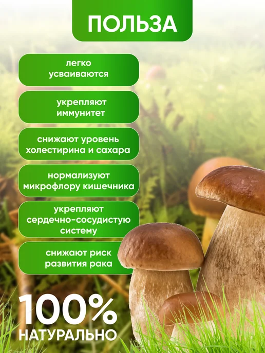 Дикотека Сушеные грибы белые, отборные, 2026, Алтай, 200 г, 200 г, фото 3