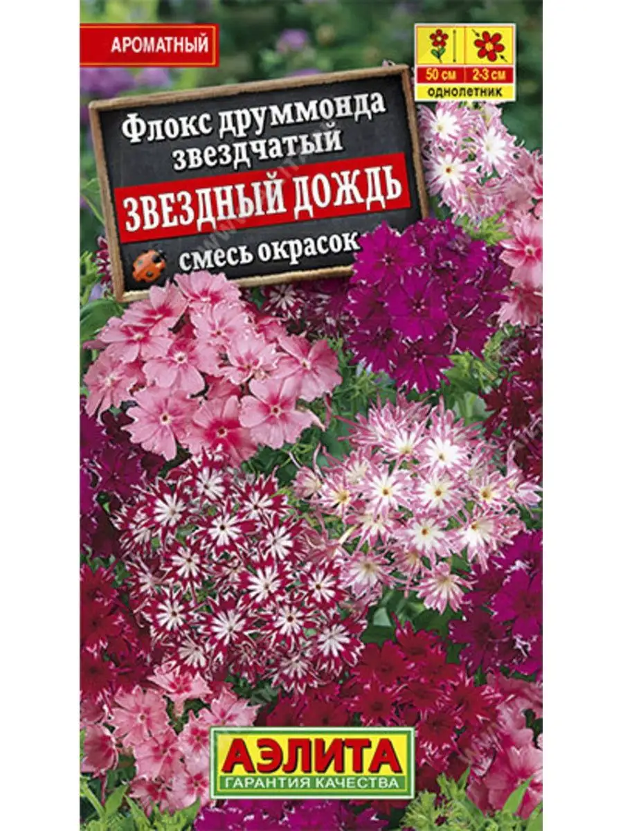 Флоксы Однолетние Купить Семена