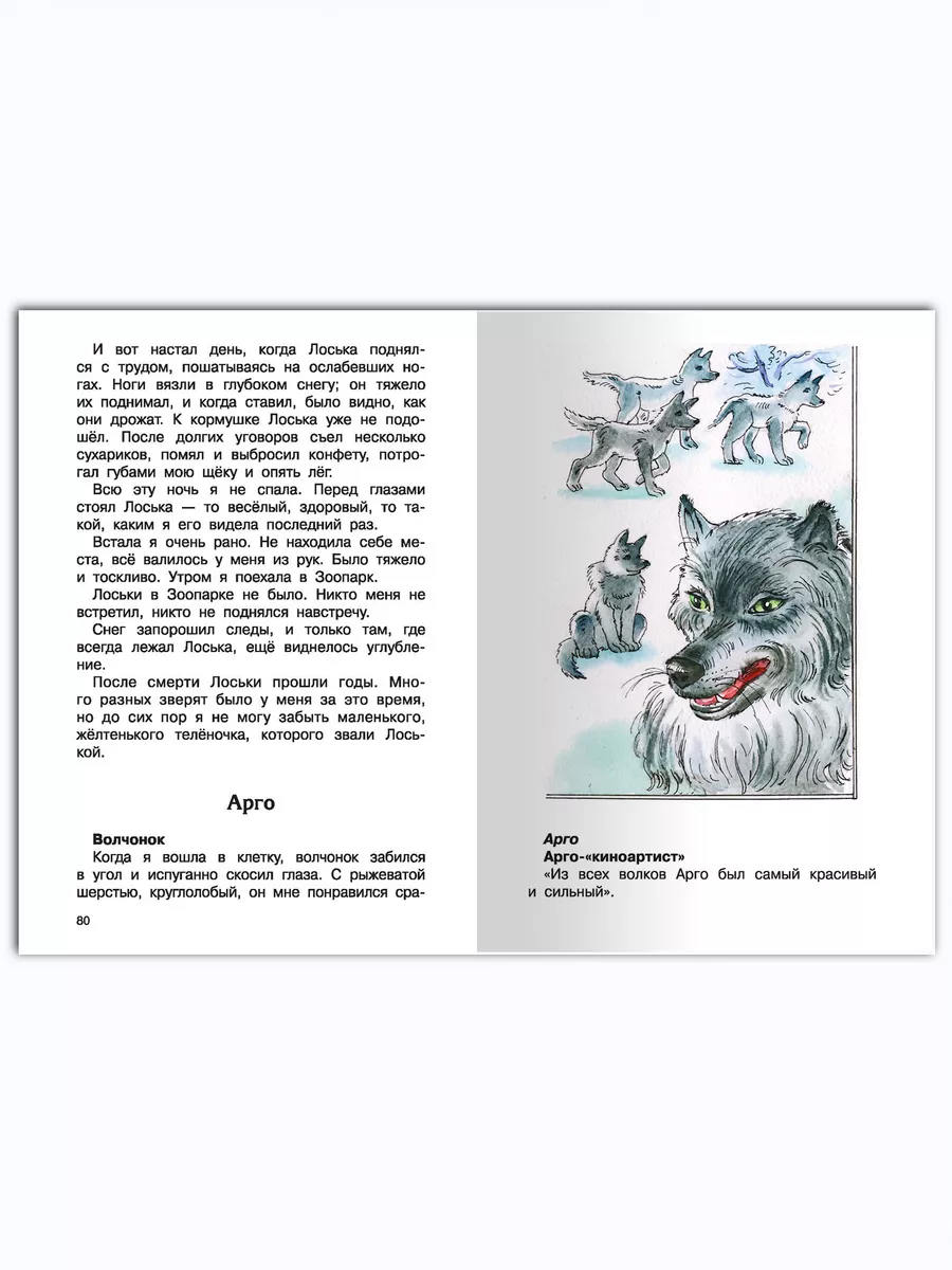 Чаплина В. Мои питомцы. Внеклассное чтение Омега-Пресс 50701865 купить за  290 ₽ в интернет-магазине Wildberries