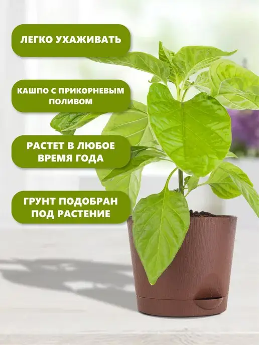 Про Растения Набор для выращивания растений перец острый семена, в упаковке 720 г, фото 4