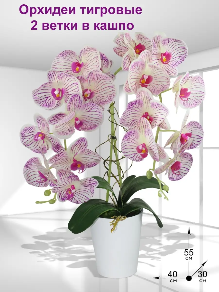 Композиция из орхидеи Флейта