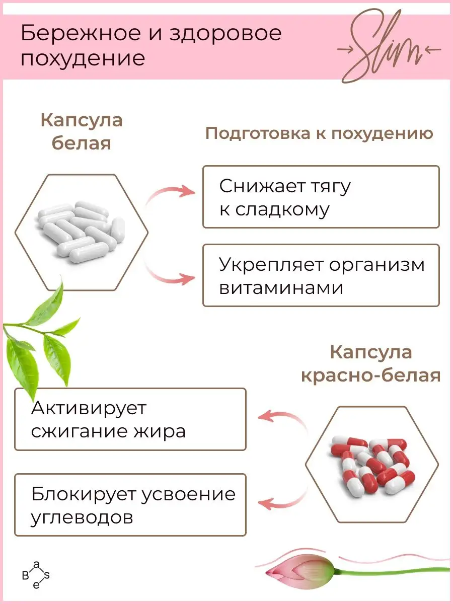 Жиросжигатель для женщин BaseGlobal 50848833 купить за 572 ₽ в  интернет-магазине Wildberries