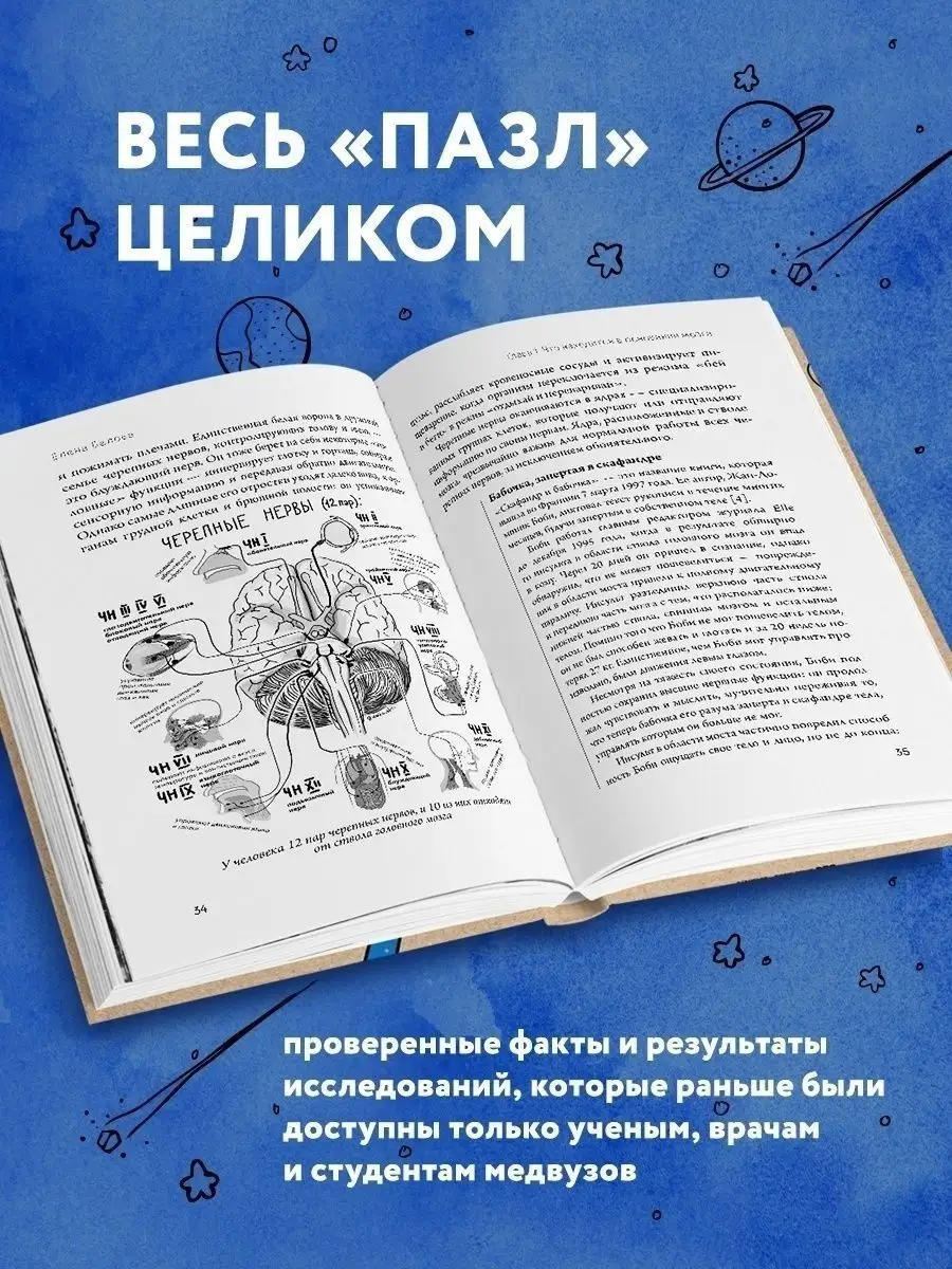 Автостопом по мозгу. Когда вся вселенная у тебя в голове Эксмо 50889235  купить за 592 ₽ в интернет-магазине Wildberries