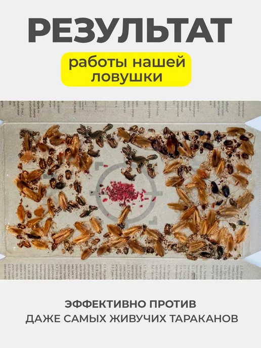 SofMark Средство от тараканов клеевая ловушка 10 шт, 10 шт, фото 2