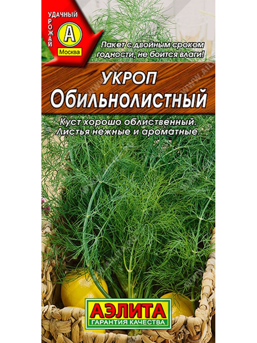 Укроп оптом. Семена. Укроп "Обильнолистный". Укроп Обильнолистный. Укроп Обильнолистный фото. Укроп Обильнолистный дом семян.