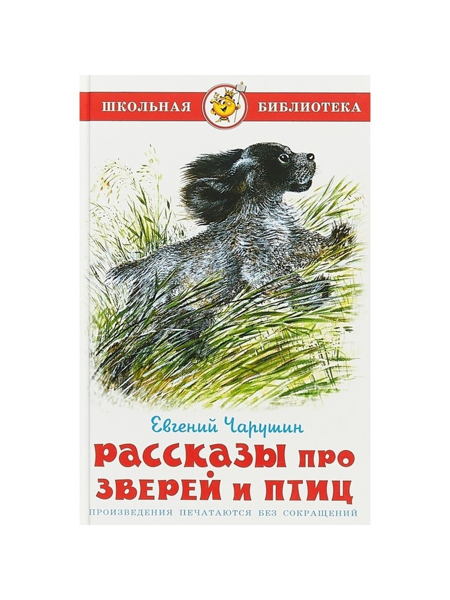 Звери и птицы чарушина. Чарушин произведения для детей. Рассказы про зверей и птиц. Повесть о животных.