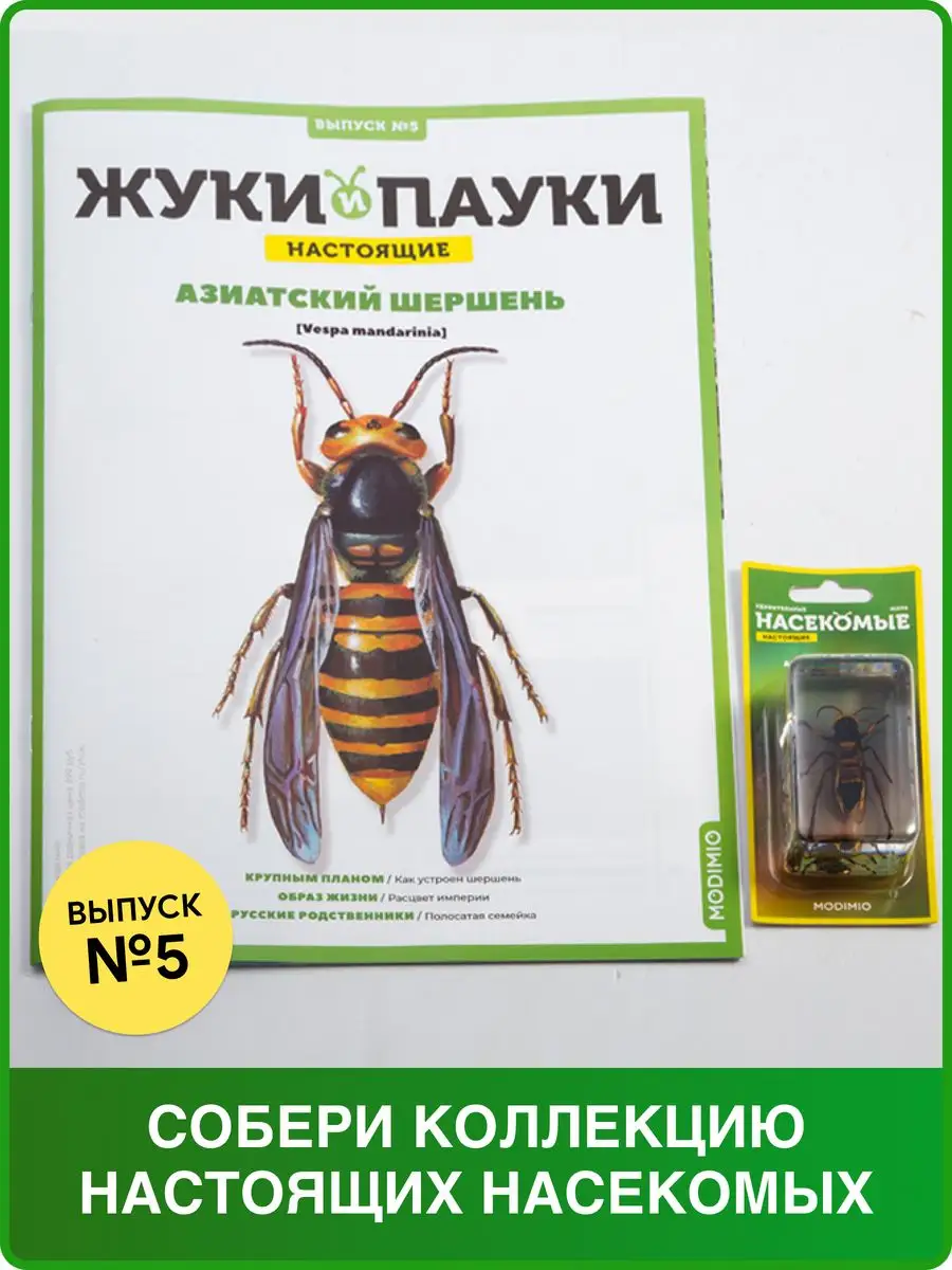 Жуки и пауки, Выпуск №5, Азиатский шершень MODIMIO 51188834 купить за 488 ₽  в интернет-магазине Wildberries