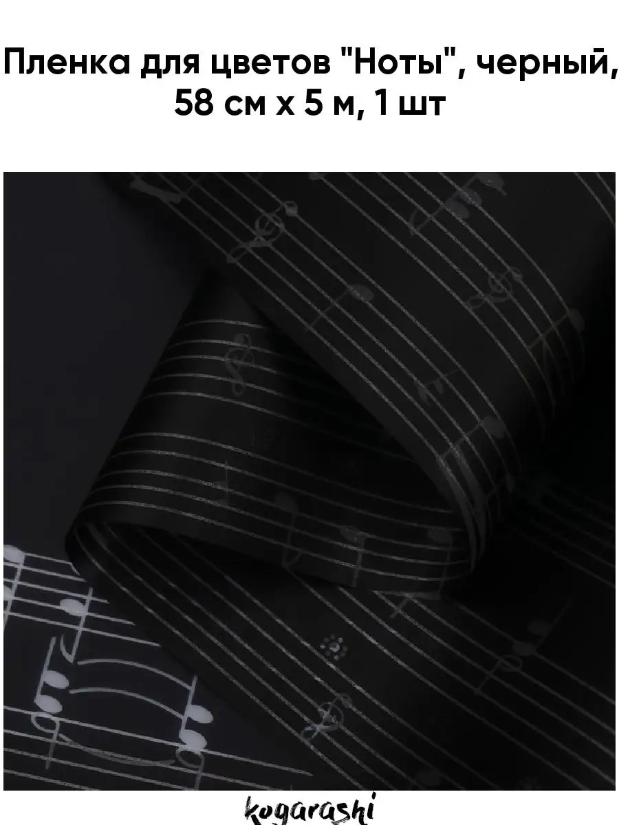 51200585