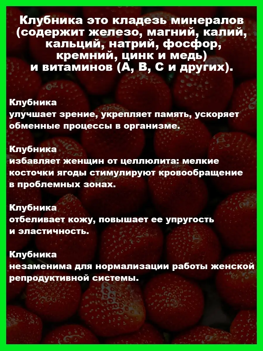 Клубника на подоконнике/семена клубники/крупная/домашняя Клубника 51255949  купить в интернет-магазине Wildberries