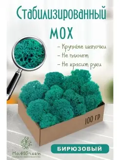 Мох стабилизированный MossGreen 51279170 купить за 332 ₽ в интернет-магазине Wildberries