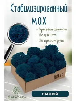 Мох стабилизированный MossGreen 51279196 купить за 332 ₽ в интернет-магазине Wildberries