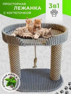 Когтеточка лежак ГРЕЙСИ Rokki 51378349 купить за 2 752 ₽ в интернет-магазине Wildberries