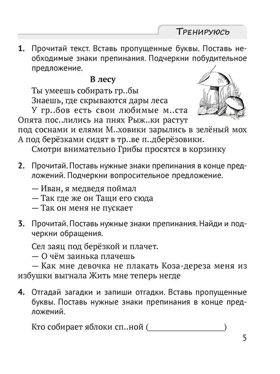 Русский язык. 4 класс. Пишу грамотно Аверсэв 51411806 купить за 202 ₽ в  интернет-магазине Wildberries