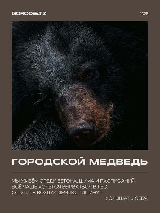 GORODETZ Шампунь мужской безсульфатный для волос профессиональный, вариант, фото 7