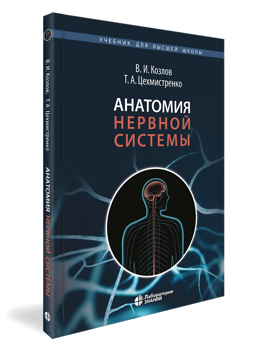 Анатомия нервной системы. Учебное пособие для студентов