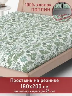 Натяжная простынь на резинке 180х200 см Beloje 51807238 купить за 1 045 ₽ в интернет-магазине Wildberries