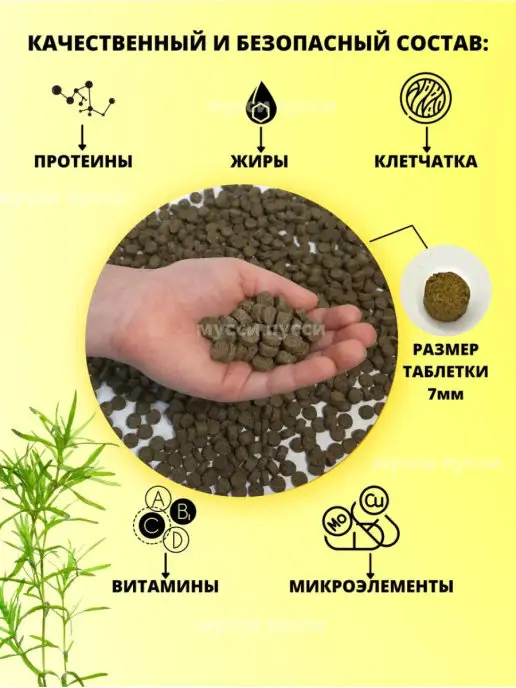 мусси пусси Корм для аквариумных рыбок сомов донных и вьюновых рыб 250 г, 250 г, фото 3