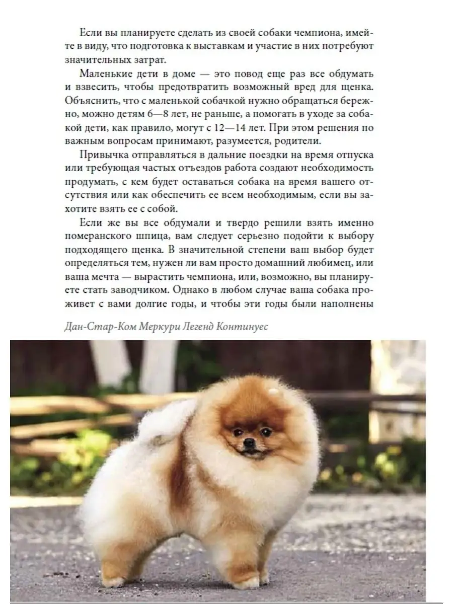 Книга про собак породы Померанский шпиц /для владельцев DOG-ПРОФИ 52397889  купить за 1 232 ₽ в интернет-магазине Wildberries