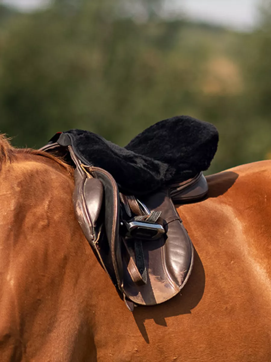 Купить седло для лошади в конном интернет-магазине «Технология спорта»