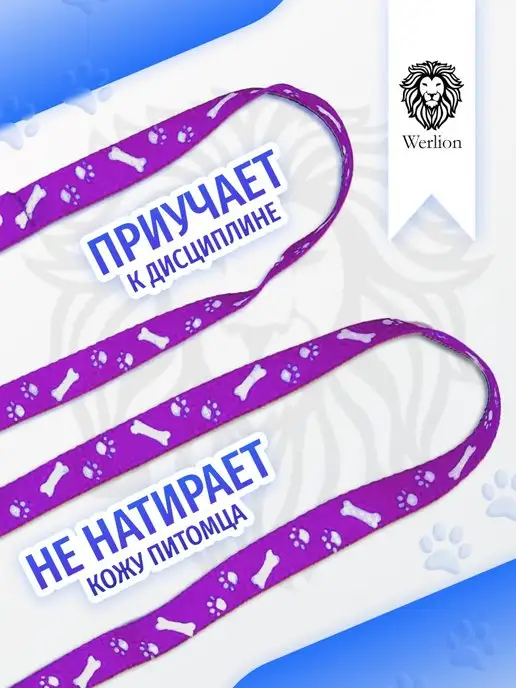 Werlion Поводок шлейка для кошек и собак, фиолетовый, фото 4