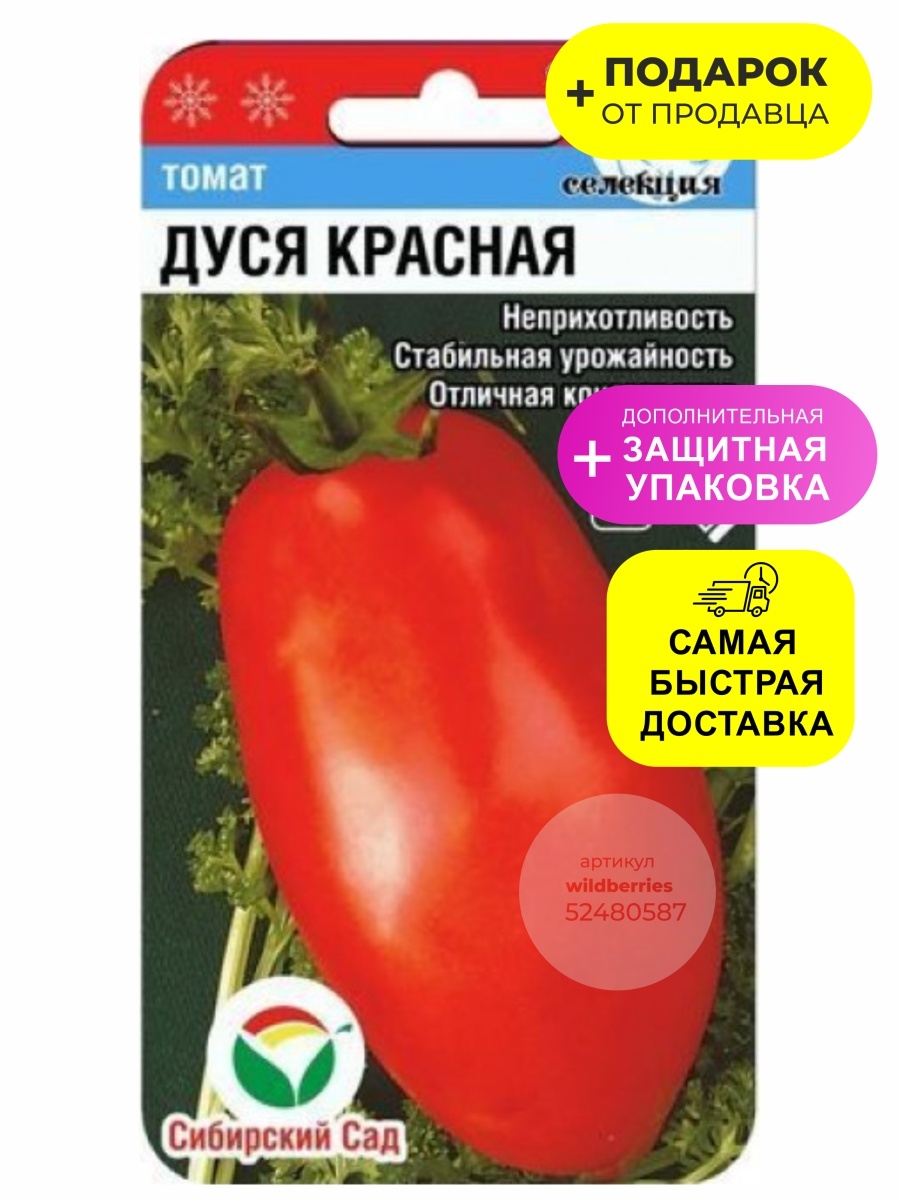 Дуся красная томат отзывы. Томат Дуся. Помидоры Дуся красная. Томат Дуся красная характеристика и описание.