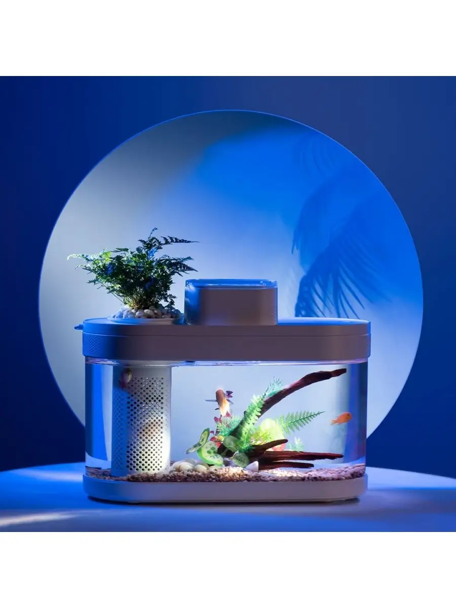 Достоинства мини-аквариумов для офиса