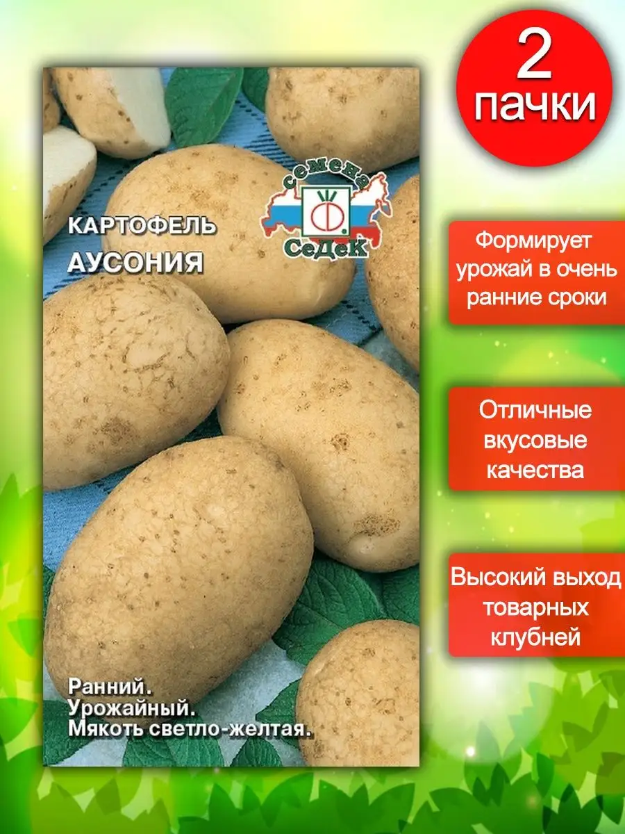 Семена Картофель Аусония 0,02 г. - 2 пакета. СеДек 52775225 купить в  интернет-магазине Wildberries