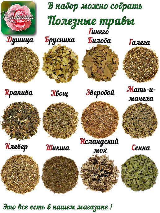 Камелия Чайная компания Лук сушеный репчатый, в упаковке 1 кг, фото 8