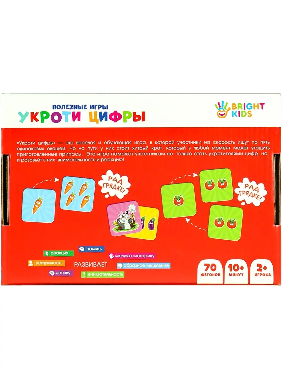 Развивающие игры для детей BRIGHT KIDS 53196623 купить в интернет-магазине  Wildberries