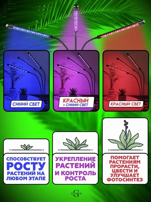 Gisma Фитолампа для растений, вариант, фото 5