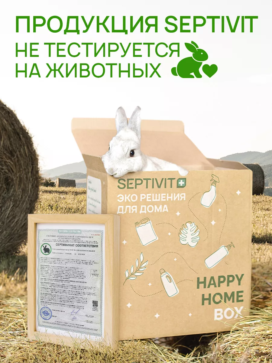 Кондиционер для белья Миндальное Молочко 5 л SEPTIVIT Premium 53472709  купить за 578 ₽ в интернет-магазине Wildberries