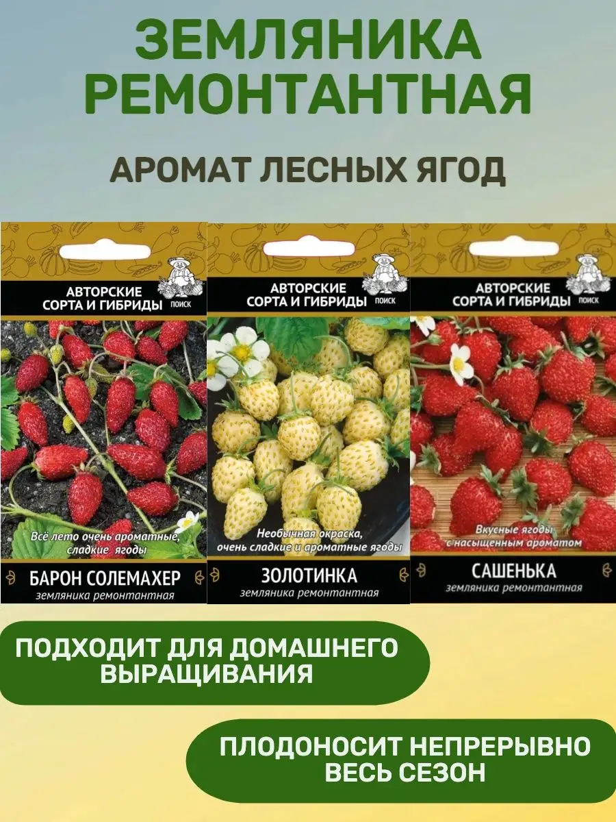 Семена Земляника ремонтантная Агрохолдинг Поиск 53506339 купить за 170 ₽ в  интернет-магазине Wildberries