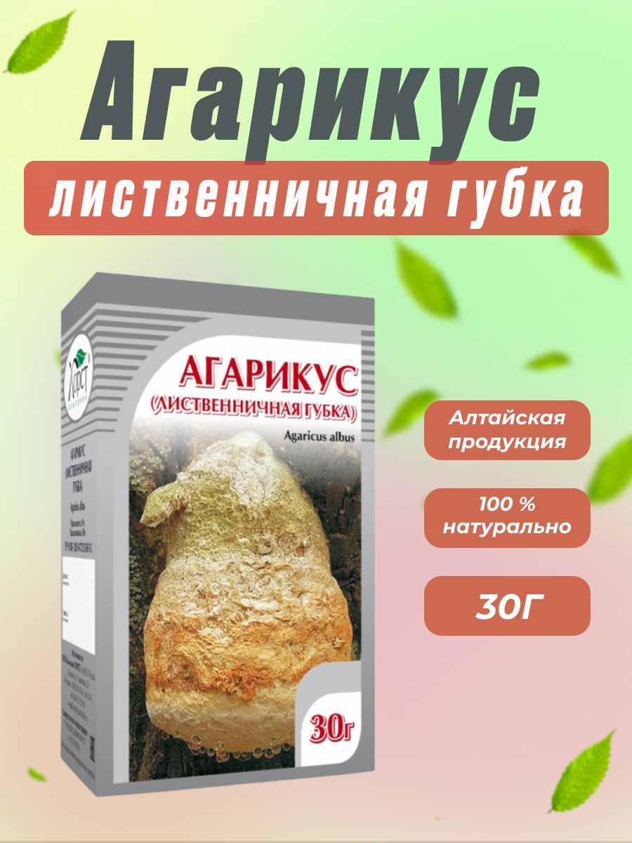 Агарикус лиственничная губка. Агарикус. Агарикус добавка.