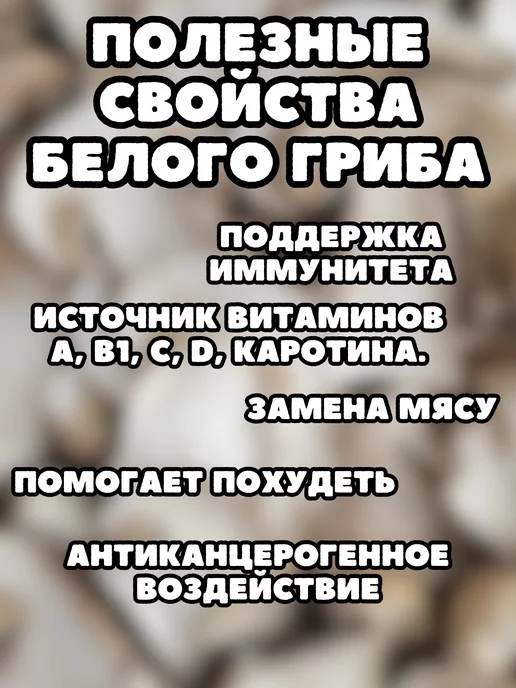Дикотека Сушеные грибы белые, отборные, 2026, Алтай, 200 г, 100 г, фото 6