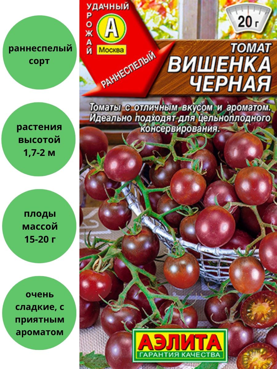 Томат вишня в шоколаде семена. Томат вишня черная. Томат Вишенка черная. Томат зимняя вишня партнер. Томат вишня зимняя.