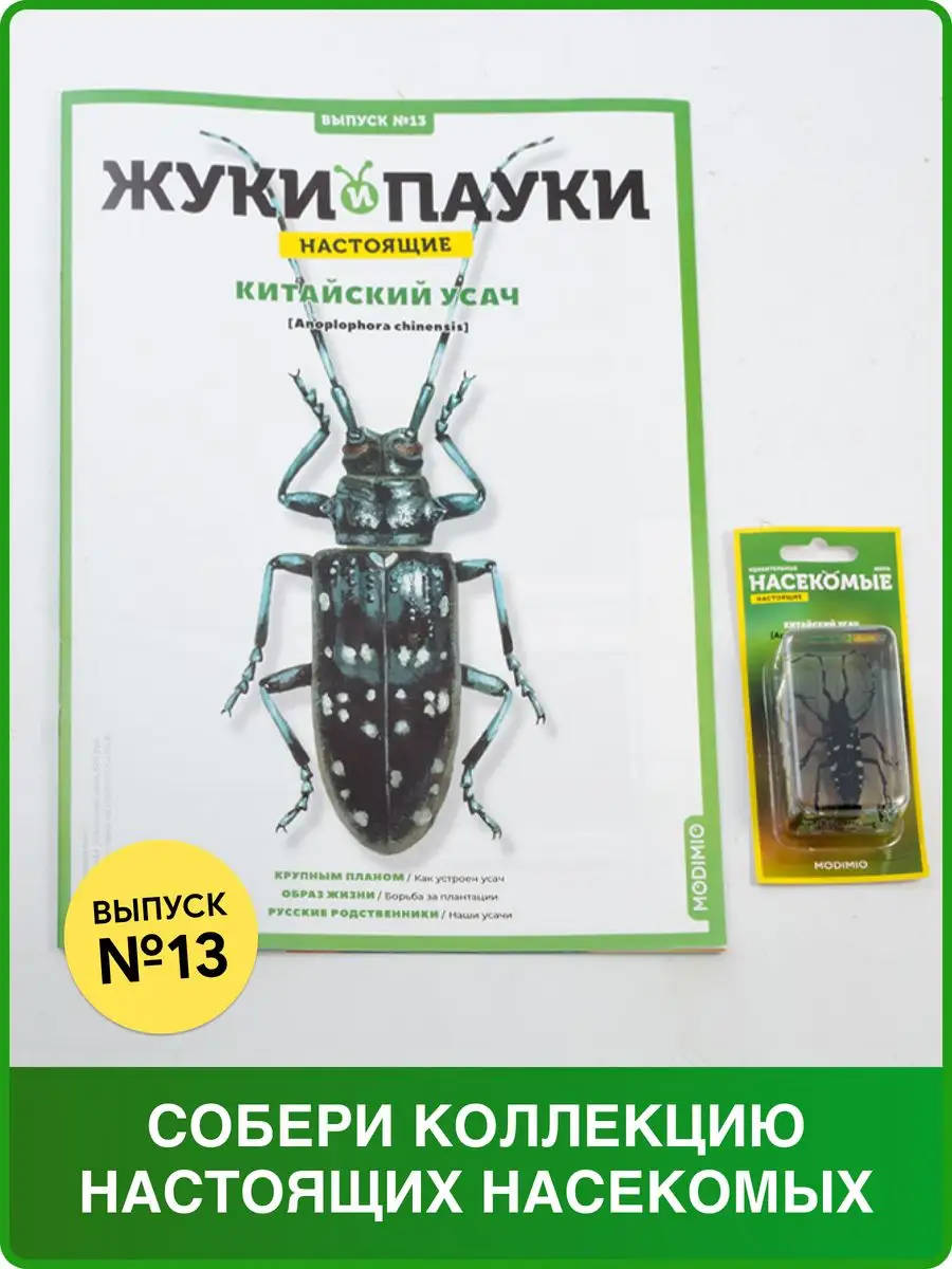 Жуки и пауки, Выпуск №13, Китайский усач MODIMIO 53595276 купить за 512 ₽ в  интернет-магазине Wildberries