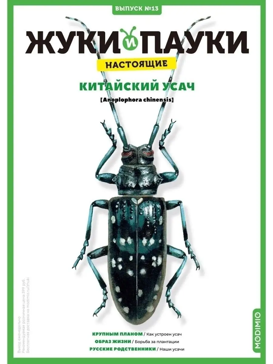 Жуки и пауки, Выпуск №13, Китайский усач MODIMIO 53595276 купить за 471 ₽ в  интернет-магазине Wildberries